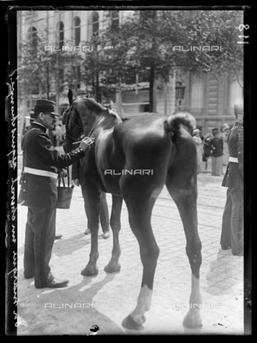 RVA-S-061410-0010 - World War One. Second day of mobilization in Paris, 3rd August 1914. Branding a requisitioned horse. Photograph published in the newspaper "Excelsior", Tuesday 4th August 1914. - Data dello scatto: 03/08/1914 - Ede / Excelsior â L'Equipe / Roger-Viollet/Alinari
