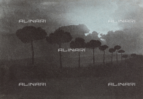 TCA-F-0038AV-0000 - Paesaggio con alberi di pino e minacciose nubi che oscurano il sole - Data dello scatto: 1910 - 1920 - Archivi Alinari, Firenze
