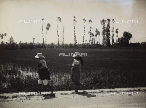 TCI-F-A04229-0000 - Country road of Vercelli - Date of photography: 1930 ca. - Touring Club Italiano/Alinari Archives Management