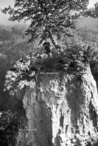 TCI-S-000249-AR10 - Wild boar hunt: stand above a precipice in the woods - Date of photography: 1940 ca. - Touring Club Italiano/Alinari Archives Management