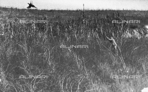 TCI-S-000277-AR10 - Pheasant taking off in flight with a hunter ready to shoot - Date of photography: 1940 ca. - Touring Club Italiano/Alinari Archives Management