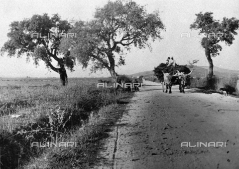 TCL-F-007766-0000 - Country landscape near Siena. In the foreground view of a road with a wagon pulled by a couple of oxen - Date of photography: 1920 ca. - Touring Club Italiano/Alinari Archives Management