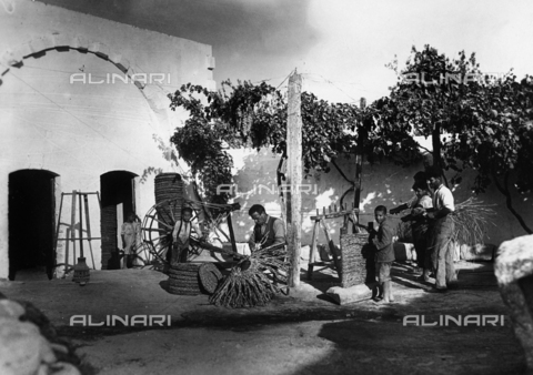 TCS-F-001795-0000 - Production of "fiscoli", vegetal fiber discs used for squeezing olive paste, Massafra - Date of photography: 1940 ca. - Touring Club Italiano/Alinari Archives Management