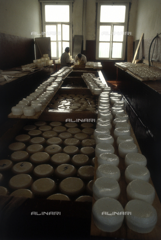 TEA-S-330101-A018 - Interior of a cheese factory - Date of photography: 1990-2000 - Alinari Archives, Florence