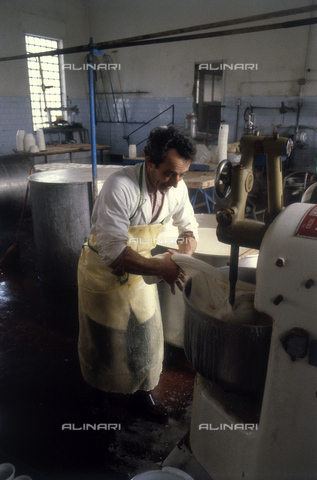 TEA-S-330101-A019 - Interior of a cheese factory - Date of photography: 1990-2000 - Alinari Archives, Florence