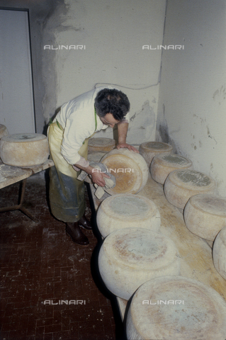 TEA-S-330101-A020 - Interior of a cheese factory - Date of photography: 1990-2000 - Alinari Archives, Florence