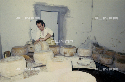 TEA-S-330101-A022 - Agricultural cooperative: Interior of a cheese factory - Date of photography: 1990-2000 - Alinari Archives, Florence