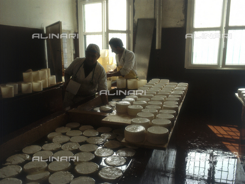 TEA-S-330101-A025 - Interior of a cheese factory - Date of photography: 1990-2000 - Alinari Archives, Florence