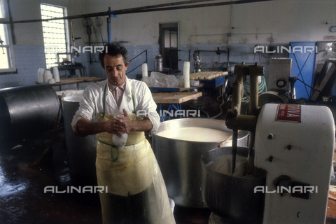 TEA-S-330101-A027 - Interior of a cheese factory - Date of photography: 1990-2000 - Alinari Archives, Florence