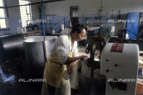 TEA-S-330101-A028 - Interior of a cheese factory - Date of photography: 1990-2000 - Alinari Archives, Florence