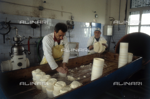 TEA-S-330101-A029 - Interior of a cheese factory: the production of cottage cheese - Date of photography: 1990-2000 - Alinari Archives, Florence