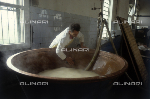 TEA-S-330101-A030 - Interior of a cheese factory - Date of photography: 1990-2000 - Alinari Archives, Florence