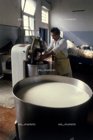 TEA-S-330101-A031 - Interior of a cheese factory - Date of photography: 1990-2000 - Alinari Archives, Florence