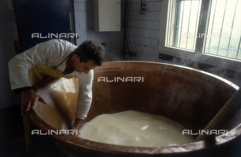 TEA-S-330101-A032 - Interior of a cheese factory - Date of photography: 1990-2000 - Alinari Archives, Florence