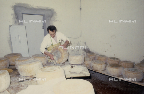 TEA-S-330101-A033 - Agricultural cooperative: Interior of a cheese factory - Date of photography: 1990-2000 - Alinari Archives, Florence