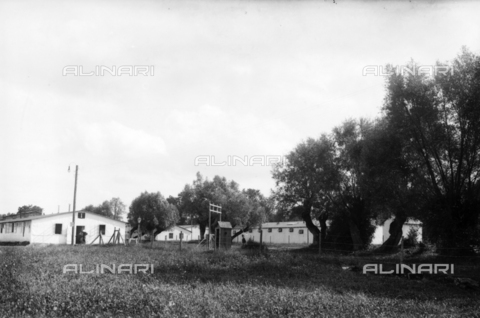 UAQ-S-001002-3007 - Campo di internamento di Katzenau, periferia di Linz, Austria: alcune baracche - Data dello scatto: 1915-1918 - Archivi Alinari, Firenze